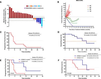 Refractory microsatellite stable metastatic colorectal cancer with ERBB2/ERBB3 mutation may be preferred population for regorafenib plus PD-1 inhibitor therapy: a real-world study